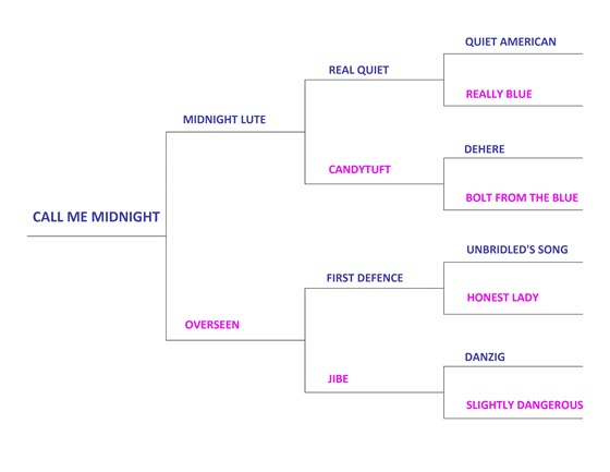 Call Me Midnight pedigree profile